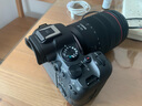 佳能（Canon）[至高24期免息]r6二代 r62 r6mark2 全畫(huà)幅微單相機 專(zhuān)業(yè)volg數碼相機 打鳥(niǎo)踏春 R6 II 24-105 USM 原裝無(wú)拆封套機 官方標配（建議選購套餐，套餐更優(yōu) 曬單實(shí)拍圖