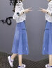 艾珠儿连衣裙2024女装春夏季新款韩版时尚休闲牛仔刺绣格子衬衫套装裙子 图片色 XL 实拍图