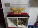 菲斯鉑亞絨沙金金龍魚擺件大號(hào)辦公室商務(wù)禮品創(chuàng)意家居裝飾品工藝擺設(shè)開業(yè) 大號(hào)金龍魚（39*24*26cm） 曬單實(shí)拍圖