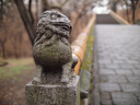 中一（zhongyi） 中一光學(xué)17mm f0.95奧林巴斯定焦人像特寫(xiě)M4/3口鏡頭 支持工業(yè)C口 銀色 標(biāo)配 曬單實(shí)拍圖