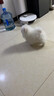 京狼圖騰博美犬純種寵物狗博美幼犬長不大雙血統(tǒng)寵物狗博美犬活體茶杯犬 血統(tǒng)級 2 曬單實拍圖