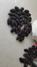 品吉味蠶蛹  東北特產(chǎn)柞蠶蛹  鮮活大體蟬蛹黃黑蠶蛹500g  活體繭蛹 A級(jí)小黑蠶蛹一斤【3-4cm】 曬單實(shí)拍圖