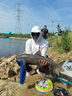 天元正品天元鄧剛千川6s千川鯉六代魚竿手竿超輕魚竿大物臺(tái)釣竿釣魚竿 7.2m 曬單實(shí)拍圖