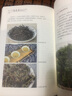 第一次品烏龍茶就上手（圖解版） 曬單實(shí)拍圖