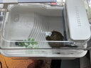 布卡星（BUCATSTATE）悠然烏龜飼養(yǎng)缸家用客廳魚缸小型生態(tài)造景專用缸亞克力龜缸 【曬臺(tái)套裝】裸缸+曬臺(tái) 曬單實(shí)拍圖