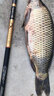 豐日閑 三江上魚傳統(tǒng)釣魚竿28調(diào)超輕超硬長竿打窩竿魚桿炮竿漁具 12m 三江上魚 曬單實拍圖