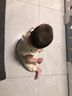 幼歌（YOUGE） 春秋男女童背帶褲生兒寶寶爬服燈芯絨童裝寬松褲 土黃 80 cm 曬單實(shí)拍圖