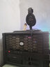 森海塞爾（Sennheiser） HD650/HD600/HD660S2/HD800S 經(jīng)典開(kāi)放式頭戴式HIFI發(fā)燒耳機 立體聲家庭影院 HD 660S二代 顏色 曬單實(shí)拍圖