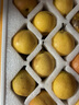夢宛怡遼寧鞍山特產(chǎn)南果梨東北當(dāng)季酒香水梨子現(xiàn)摘新鮮酥脆南國梨水果 5斤大果禮盒裝16粒精品陽面紅果 精品果 曬單實拍圖