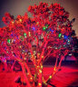 D&L太阳能彩灯灯串户外别墅庭院灯挂树圣诞节元旦节日表白七彩灯带 200颗灯珠-22米暖光8种亮灯模式 实拍图