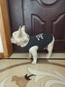 DADAGOU法斗衣服斗牛犬背心春夏裝胖狗狗沙皮巴哥狗衣服棉布背心夏季薄款 曬單實(shí)拍圖