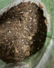 美乐棵 天南星科营养土8L/袋红掌植物园艺种植基质土花土肥料盆栽种植土 实拍图