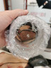 鹿鞭干整根正品吉林正宗人參鹿鞭片泡酒專用藥材養(yǎng)生鹿茸血鹿鞭酒 【精選種鹿鞭】130－139克 曬單實拍圖