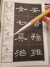 長鋒羊毫毛筆書法筆專用長峰兼毫草書行書初學(xué)者毛筆字純羊毫篆書長毫行草大長毛國畫湖筆狼毫勾線筆長豪大號 羊毫長鋒小號 曬單實拍圖