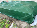 赤誠（chicheng） 防水布防雨布戶(hù)外油布加厚綠防曬雨棚遮陽(yáng)隔熱防雨篷布保溫雨布 綠色 3*6米 配繩子 曬單實(shí)拍圖