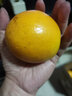 小覃同學(xué)湖北夏橙臍橙 秭歸新鮮水果夏季時(shí)令榨汁橙子薄皮手剝橙冷藏更佳 9斤裝 小果 曬單實(shí)拍圖