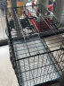 宠乐乖（CHONGLEGUAI）狗笼猫笼狗笼子中小型犬幼犬加粗加密折叠猫笼子猫咪兔笼具760JC 实拍图