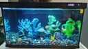 畫(huà)法幾何魚(yú)缸造景海綿寶寶菠蘿屋裝飾擺件仿真造景沉木魚(yú)缸水族箱造景 珊瑚造景套裝 曬單實(shí)拍圖