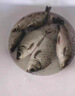 致尊坊當(dāng)歸高端進(jìn)口魚線主線正品臺灣子線原絲超強(qiáng)拉力高強(qiáng)度耐磨尼龍線 主線(墨綠) 1.2號 曬單實(shí)拍圖