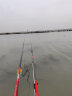 光威（GW）小海天碳素海竿抛竿海杆远投竿钓鱼竿超硬调渔具套装 小海天2.7米 实拍图