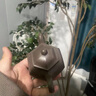 璽翰雅（ROYHOYE）宜興紫砂壺家用原礦天青泥泡茶壺純手工茶器高檔送禮茶具單壺 荷香秋水 手工刻繪 200ml 曬單實(shí)拍圖