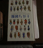 浪花朵朵官方正版 士兵與制服 世界士兵3000年歷史百科 45張大幅手繪彩圖 重現士兵真實(shí)形象 8 曬單實(shí)拍圖
