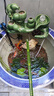 小鴿子養魚(yú)缸盆石槽小流水器景噴泉圓型玻璃陶瓷搭配循環(huán)增氧水族箱DIY 五福臨門(mén)B款綠色 流水器 曬單實(shí)拍圖