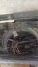 海爾11公斤全自動(dòng)洗衣機直驅波輪大容量升級超凈洗電離除菌冷水除螨專(zhuān)利納米微泡凈一級能效抗菌波輪 直驅11公斤鏡面顯示屏+電離除菌+微泡凈+雙抗菌 曬單實(shí)拍圖
