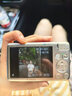 Canon佳能CCD相機IXUS130/210/220/115學(xué)生入門二手數(shù)碼可伸縮鏡頭復(fù)古卡片相機 佳能IXUS130 銀色 95成新 曬單實拍圖