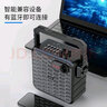 飛利浦（Philips）SD60X音響戶外k歌廣場(chǎng)舞音響大音量手提便攜式小型移動(dòng)藍(lán)牙音箱家用帶無線話筒麥克風(fēng)小蜜蜂擴(kuò)音器 SD60X音響+2個(gè)手持話筒 曬單實(shí)拍圖