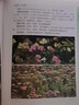 城市園林美花350種圖鑒/園林植物圖鑒系列 曬單實拍圖