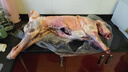 灘羊鮮生 寧夏灘羊肉生鮮全羊整只35斤白條羊年貨禮盒火鍋食材源頭直發(fā) 曬單實拍圖