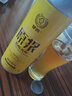 冰克斯青島特產(chǎn)精釀原漿啤酒大桶中秋禮盒整箱全麥高度扎啤熟啤國產(chǎn)精釀 琴鷗系列精釀黃啤 1L 6桶 禮盒裝 曬單實(shí)拍圖