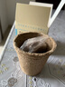 IAM City Farmer白晶菊 可降解盆栽環(huán)保 新手種植的植物好種易開(kāi)花種植盆栽10041 曬單實(shí)拍圖