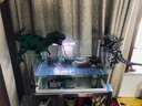 索冠 哥斯拉手辦玩具周邊大戰金剛SHM基多拉NECA機械模型怪獸大猩猩 機械哥斯拉31cm袋裝 國產(chǎn)版 曬單實(shí)拍圖