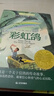 長(cháng)青藤?lài)H大獎小說(shuō)分級閱讀小學(xué)高年級精選6冊了不起的男孩、結局由我、秘密寫(xiě)在群星間等三四五六年級中小學(xué)生必讀影響孩子一生的國際兒童文學(xué)獎經(jīng)典名著(zhù)課外閱讀 曬單實(shí)拍圖