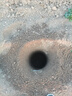 短云大功率四沖程地鉆挖坑機(jī)果園植樹(shù)打洞機(jī)施肥打孔機(jī)種植栽樹(shù)打樁機(jī) 四沖程地鉆+手推車(chē)+30公分鉆頭 曬單實(shí)拍圖