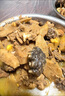 桃李旺鱷龜肉 新鮮現(xiàn)殺鱷龜肉 食用鱷龜掌鱷龜尾巴食用鱷魚龜煲湯食材 【1斤】現(xiàn)殺鱷龜尾巴 曬單實(shí)拍圖