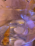 sobo鱼缸氧气泵养鱼增氧机充氧泵家用小型制氧机氧气机鱼用充氧器低音 848双孔12W全套配件+纳米气盘 实拍图