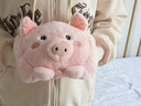 梅派熱水袋充電式防爆暖寶寶暖水袋注水女毛絨可愛(ài)暖手寶2026新款ZP 立體萌粉豬【智能防爆-可拆洗】 曬單實(shí)拍圖