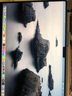蘋(píng)果（Apple）MacBook Pro/Air M1/M2/M3/M4 二手蘋(píng)果筆記本電腦官翻全新 21年14寸M1Pro【10+16核】16-1TB 99成新 曬單實(shí)拍圖