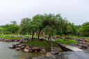 尼康/Nikon AF-S DX 尼克爾 16-85mm f/3.5-5.6G ED 二手單反鏡頭 95新 AF-S 16-80/F2.8-4E VR 曬單實(shí)拍圖