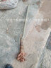 板栗樹苗帶土帶果發(fā)貨早熟農(nóng)大一號高產(chǎn)板栗苗八月成熟當(dāng)年結(jié)果 90cm(含)-99cm(含) 農(nóng)大一號板栗苗_三年苗【次年結(jié) 曬單實拍圖