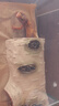 BARBAROUS GROWTH洞穴躲避白樺木擺件裝飾爬寵箱造景樹枝蛻皮攀爬守宮蜥蜴蛇樹根 仿真樺木躲避-M【空間大】 曬單實(shí)拍圖