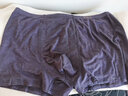 意大萊（yidalai）男士抗菌內褲加肥加大男平角褲莫代爾透氣四角褲大碼底褲肥佬短褲 4882紗蘭+琉璃紅+深紫 XXXL 曬單實(shí)拍圖