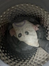 戴維貝拉（DAVE＆BELLA）女童長袖t恤純棉兒童上衣春季新款幼兒童裝男寶寶套頭衫小童衣服 粉色【現(xiàn)貨】 100 cm（建議身高90-100cm） 曬單實拍圖