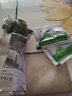 元冬銅錢(qián)草 水培銅錢(qián)草 銅錢(qián)草苗 盆栽銅錢(qián)草  水上植物 造景假山植物 10顆銅錢(qián)草 曬單實(shí)拍圖