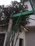 博森特（BOSENTE） 籃球架  掛壁式成人家用標準戶(hù)外簡(jiǎn)易籃球架 室外掛墻式籃球架子 1.0厚籃板+100支架+實(shí)心籃圈 曬單實(shí)拍圖