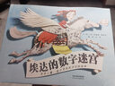 埃達的數字迷宮  世界上第一位計算機程序員的故事 6-10歲（啟發(fā)出品 人物傳記系列）  曬單實(shí)拍圖