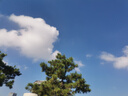 稻草人 人教版快樂(lè )讀書(shū)吧三年級上冊 曹文軒、陳先云主編 語(yǔ)文教科書(shū)配套書(shū)目  曬單實(shí)拍圖